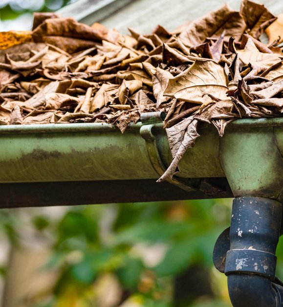 Blocked spouting and downpipe in house in Lower Hutt